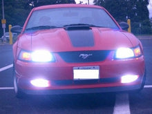 Load image into Gallery viewer, mustang hid 6000K