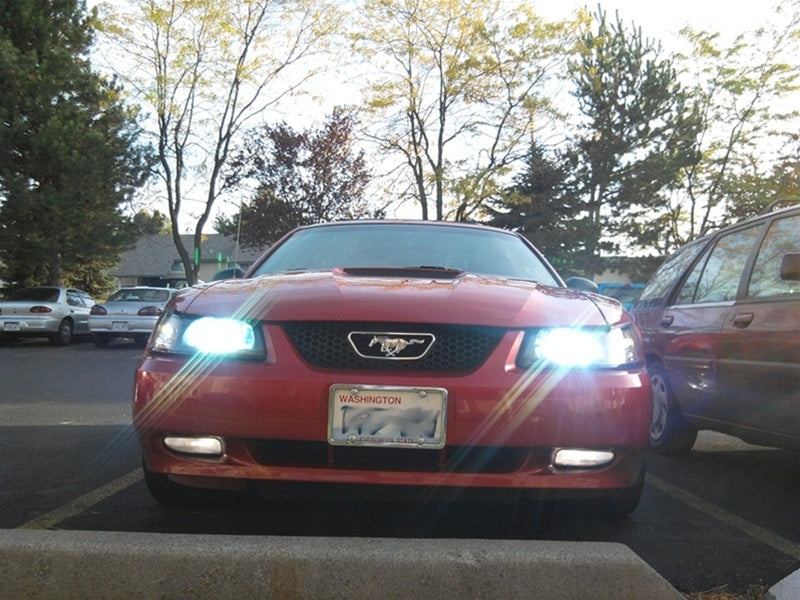 mustang hid 8000K