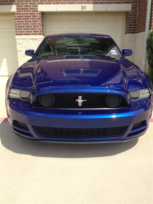 2013 Boss 302 Grille