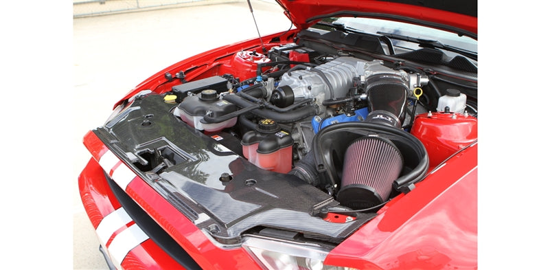 TruCarbon LG46KR Carbon Fiber Radiator Cover (10-13 GT500 & 13 GT/V6)