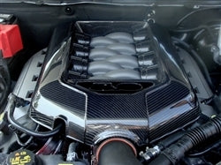 TruCarbon LG54 Carbon Fiber Engine Cover