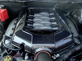 TruCarbon LG54 Carbon Fiber Engine Cover (11-13 5.0)