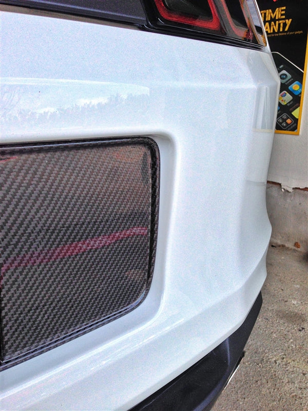 Mustang Carbon Fiber License Plate Surround