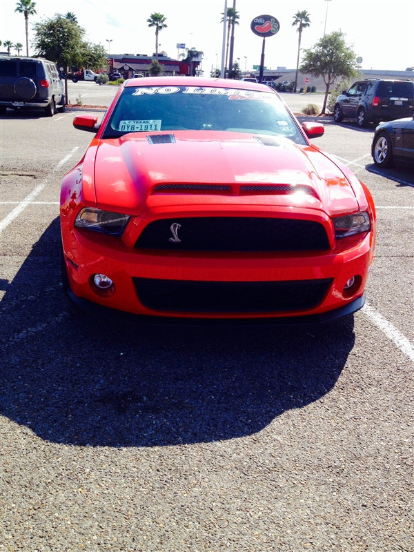 TruFiber A53KR Mustang Hood 13-14 GT/V6