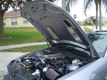 Load image into Gallery viewer, TruFiber Mustang A44 Hood (05-09 GT/V6) TF10024-A44