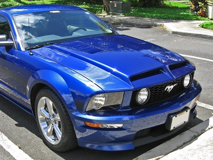 TruFiber Mustang A52 Hood (05-09 GT/V6) TF10024-A52