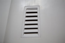Load image into Gallery viewer, TruFiber Mustang Replacement LG183 Vents (10-12 w/select TruFiber Hoods) TF10025-LG183