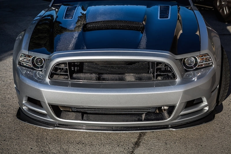 Â TC10025-LG202 TruCarbon Carbon Fiber Lower Grille Insert 2013-2014 GT Mustang