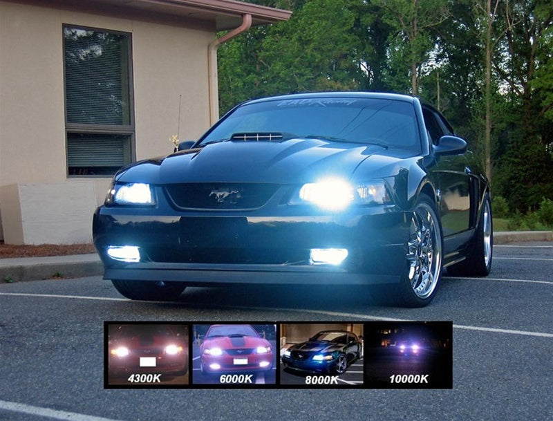 mustang hid 8000K