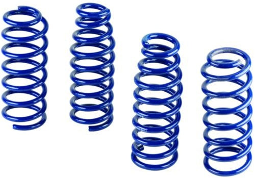 M-5300-L Ford Racing GT500 Springs