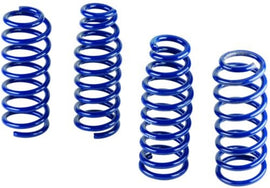 M-5300-L Ford Racing GT500 Springs