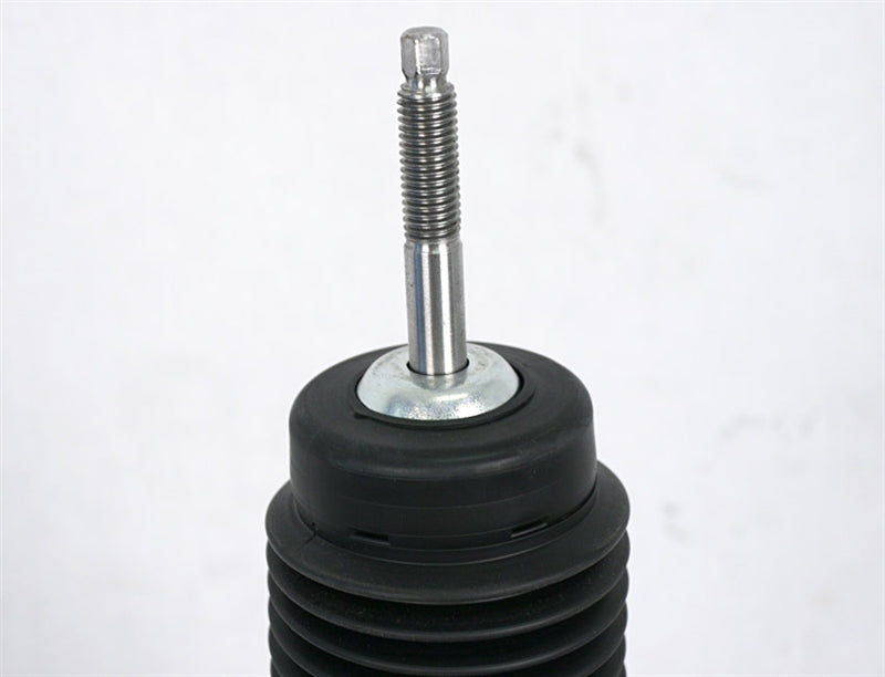 Steeda Shocks and Struts