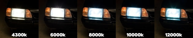 Mustang HID Headlight/Foglight Package