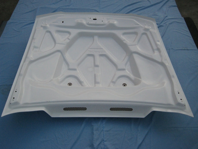 TF10024-A49-3KR TruFiber Carbon Fiber Hood