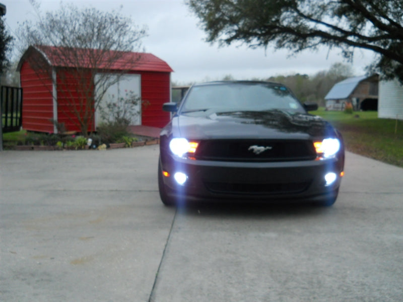 MTEC Cosmos Blue Fog Light Bulbs for 05-12 V6 Mustangs