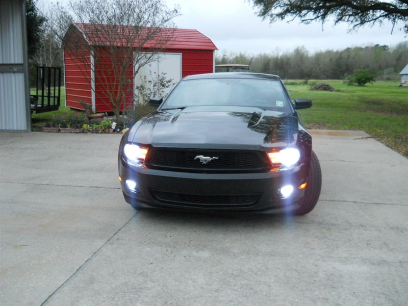 MTEC Cosmos Blue Fog Light Bulbs for 05-12 V6 Mustangs