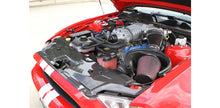 Load image into Gallery viewer, TruCarbon LG46KR Carbon Fiber Radiator Cover (10-13 GT500 &amp; 13 GT/V6)