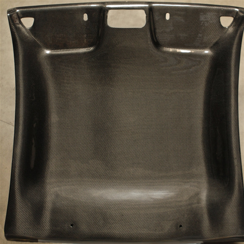 TruCarbon LG61 Carbon Fiber Headliner
