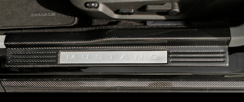 TruCarbon LG108 Carbon Fiber Door Sill Plates