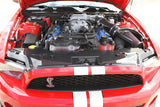 TruCarbon LG46 Carbon Fiber Radiator Cover (10-12 V6-GT)