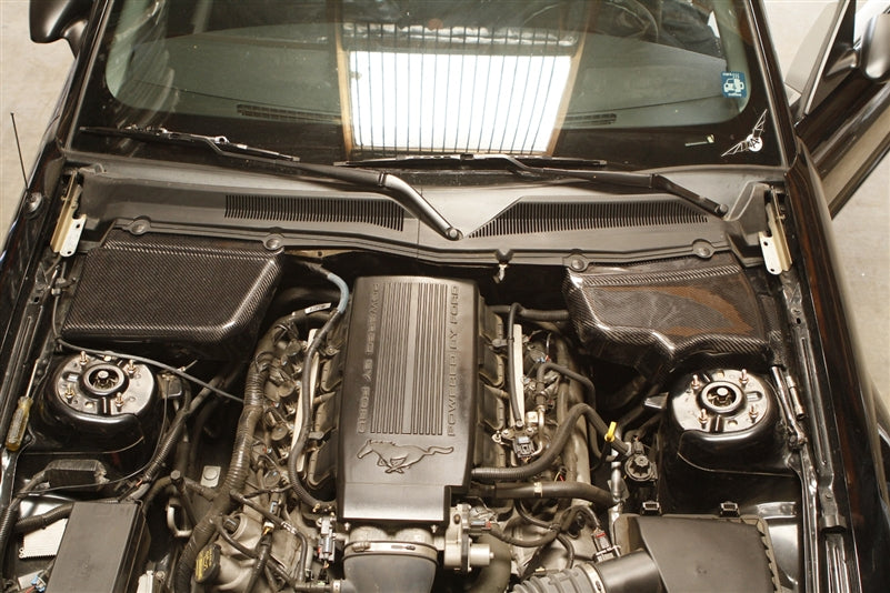 TruCarbon LG71 Carbon Fiber Battery & Master Cylinder Covers