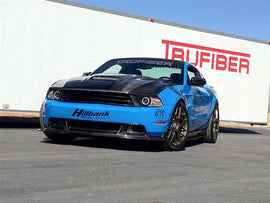 TruCarbon A61 Carbon Fiber Hood