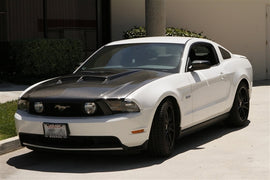 TruCarbon A42 Carbon Fiber Hood