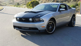 TruCarbon A42 Carbon Fiber Hood