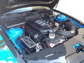 TruCarbon LG96 Carbon Fiber Coil Pack Covers