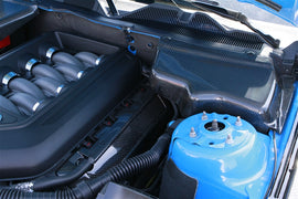 TruCarbon LG96 Carbon Fiber Coil Pack Covers