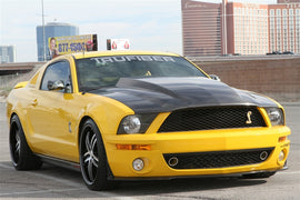 TruCarbon A49-3 Carbon Fiber Hood