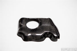 Mustang Carbon Fiber Coolant Cover