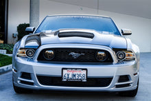Load image into Gallery viewer, TruCarbon A72KR Carbon Fiber Hood 10-13 GT500 Mustang