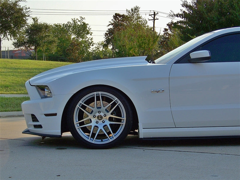 Cervinis Cobra R Hood 13-14 Mustang GT/V6