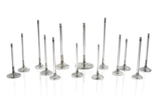 Load image into Gallery viewer, Ferrea Audi/VW BTW 29mm 5.97mm 102mm 24 Deg Flo +1mm Trpl Grv Super Alloy Exhaust Valve - Set of 8