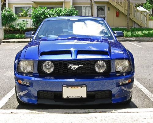 TruFiber Mustang A52 Hood (05-09 GT/V6) TF10024-A52