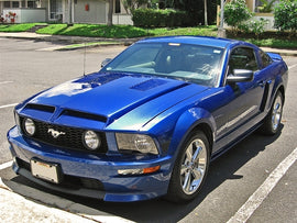 TruFiber Mustang A52 Hood (05-09 GT/V6) TF10024-A52