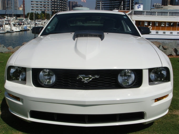TruFiber Mustang A41 Hood (05-09 GT/V6) TF10024-A41