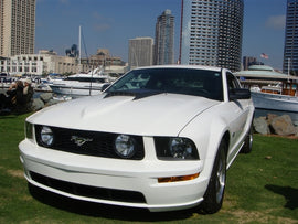 TruFiber Mustang A41 Hood (05-09 GT/V6) TF10024-A41