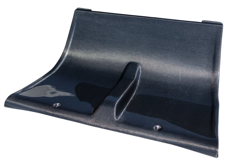 TruCarbon LG124 Mustang Carbon Fiber Rear Seat Delete (05-14 All) TC010-LG124