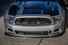 Load image into Gallery viewer, TruCarbon Mustang LG203 Carbon Upper Grille TC10025-LG203