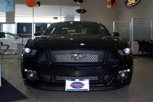 Load image into Gallery viewer, 2015 Mustang Sto N Show License Plate Bracket SNS62a