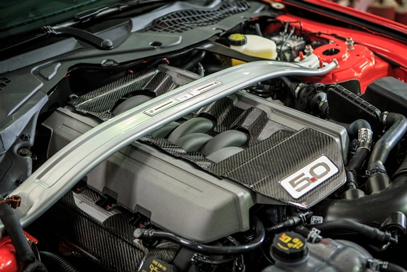 TruCarbon LG225 Carbon Fiber Intake Manifold Insert 2015 Mustang GT