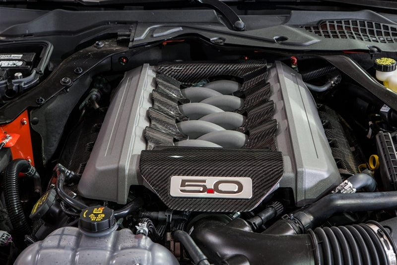 TruCarbon LG225 Carbon Fiber Intake Manifold Insert 2015 Mustang GT