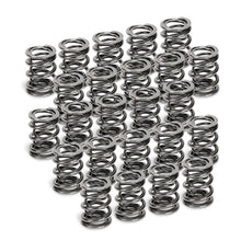 Load image into Gallery viewer, Supertech BMW M50/M52/S50/S52 Dual Valve Spring - Set of 24
