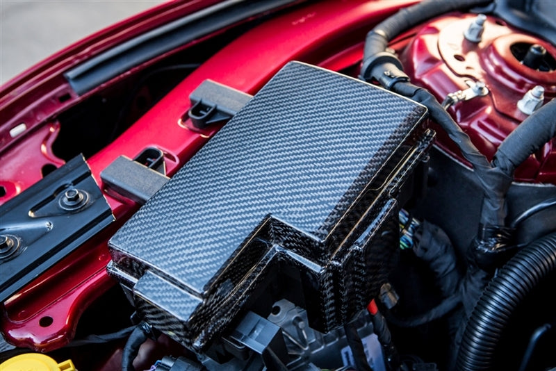 TC10026-LG241 TruCarbon Carbon Fiber Fuse Box Cover 2015 Mustang