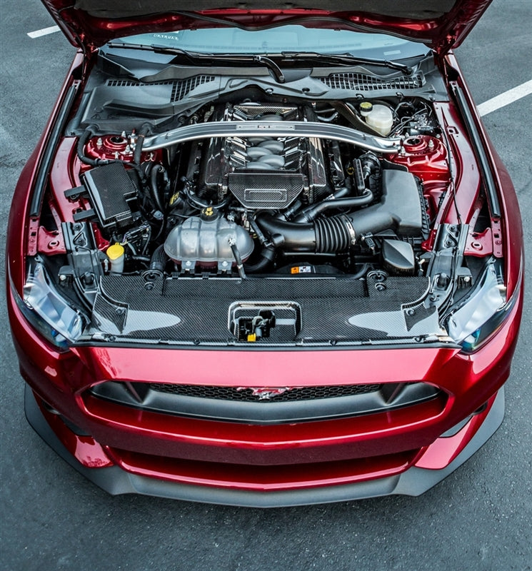 TC10026-LG241 TruCarbon Carbon Fiber Fuse Box Cover 2015 Mustang