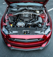 Load image into Gallery viewer, TC10026-LG241 TruCarbon Carbon Fiber Fuse Box Cover 2015 Mustang