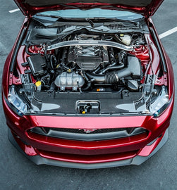 TC10026-LG231 TruCarbon Carbon Fiber Radiator Cover 2015 Mustang