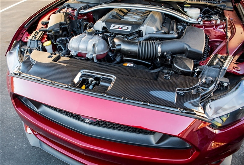 TC10026-LG231 TruCarbon Carbon Fiber Radiator Cover 2015 Mustang